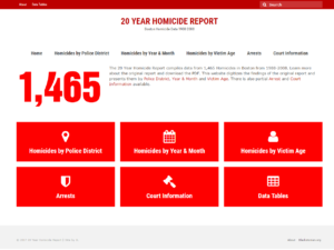 20 Year Homicide Report