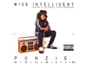 Wise Intelligent .com